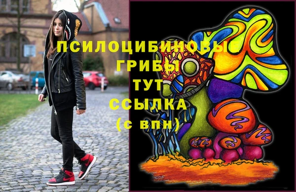 ешки Балахна