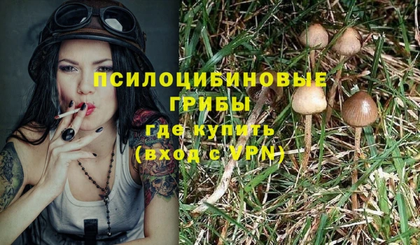 ешки Балахна
